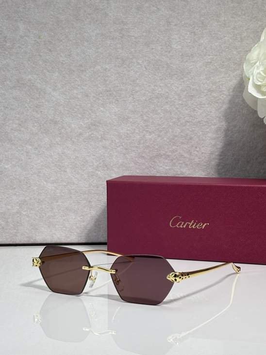 Picture of Cartier Sunglasses _SKUfw79724119fw